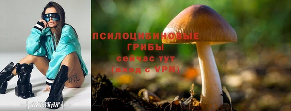 амфетамин Арсеньев