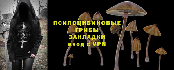 круглые Аркадак