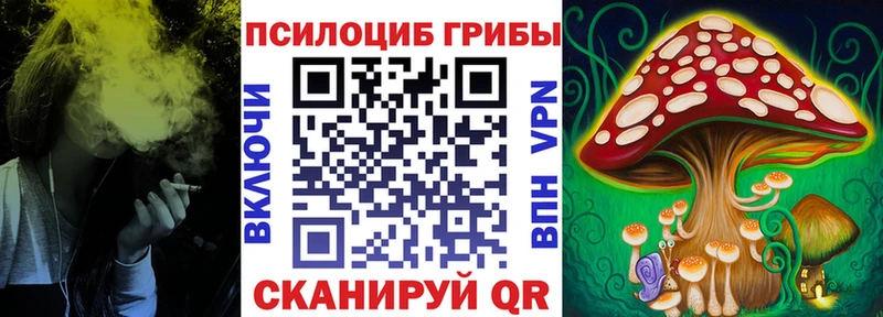 хочу наркоту  Игарка  OMG ссылки  Псилоцибиновые грибы прущие грибы 